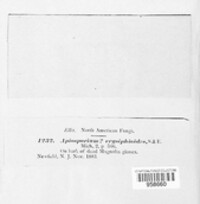 Image Associated With the Occurence